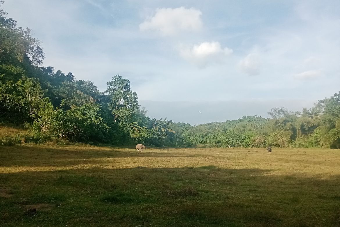 Land for Sale in Ambulong, Tanauan, Batangas – photo 4