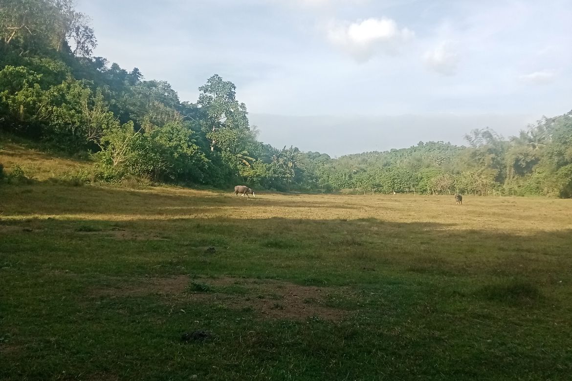 Land for Sale in Ambulong, Tanauan, Batangas – photo 6