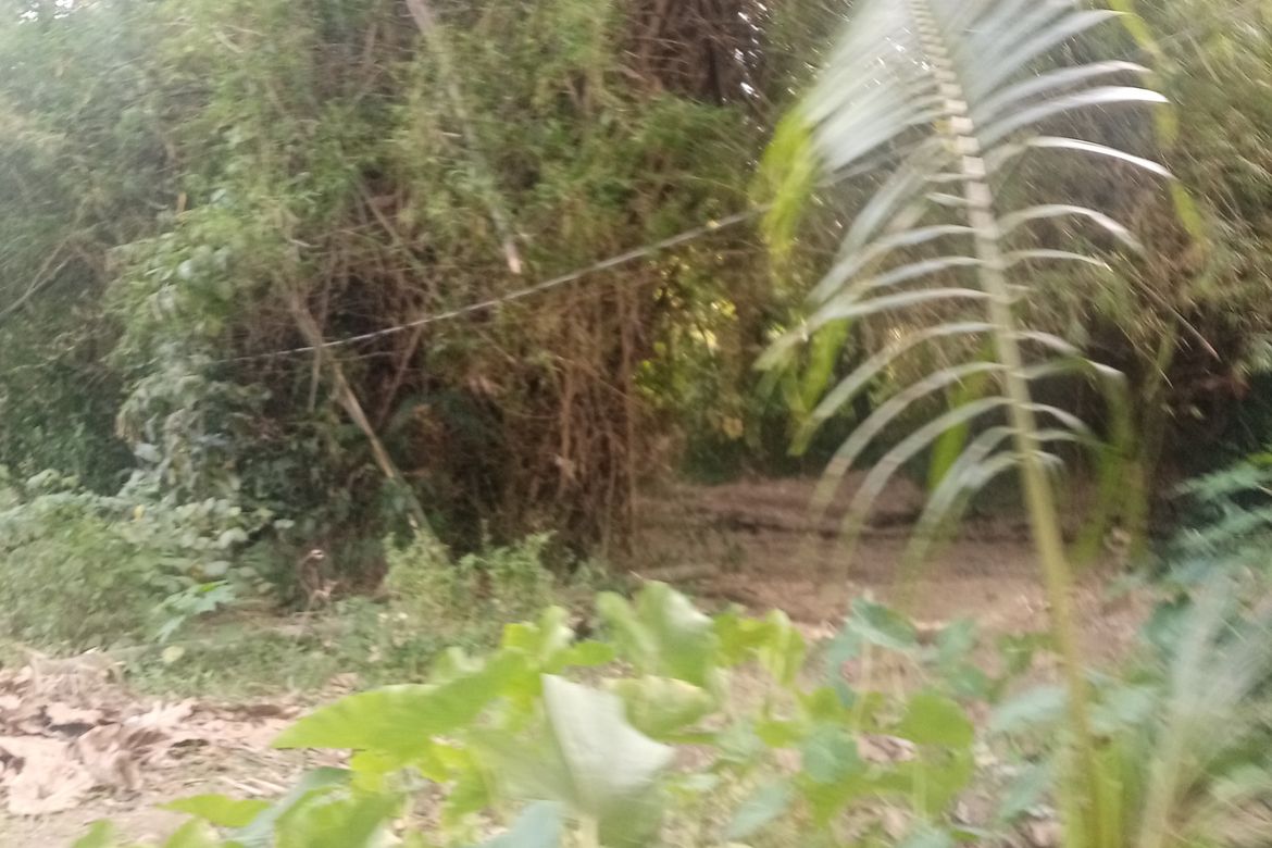 Land for Sale in Ambulong, Tanauan, Batangas – photo 8
