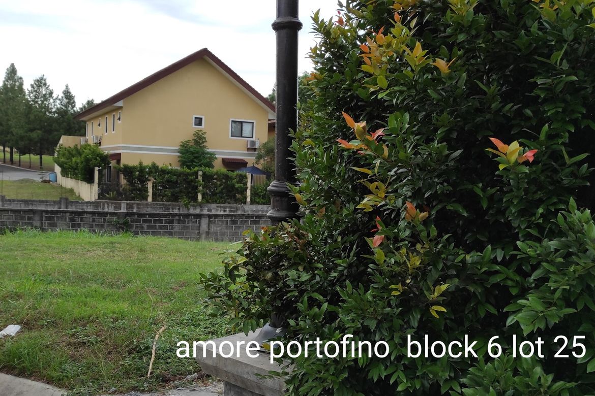 Land for Sale in Amore at Portofino, Tunasan, Muntinlupa, Metro Manila