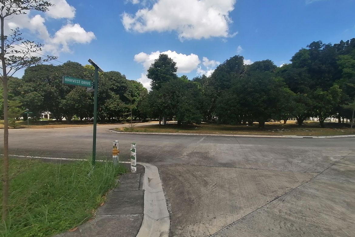 Land for Sale in Amsic, Angeles, Pampanga