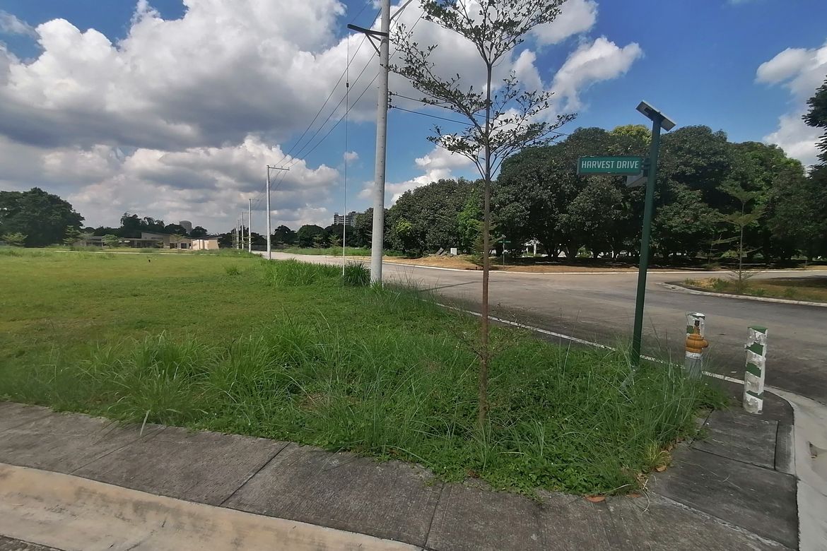 Land for Sale in Amsic, Angeles, Pampanga – photo 6