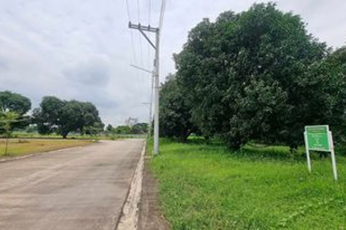 Land for Sale in Amsic, Angeles, Pampanga – photo 2