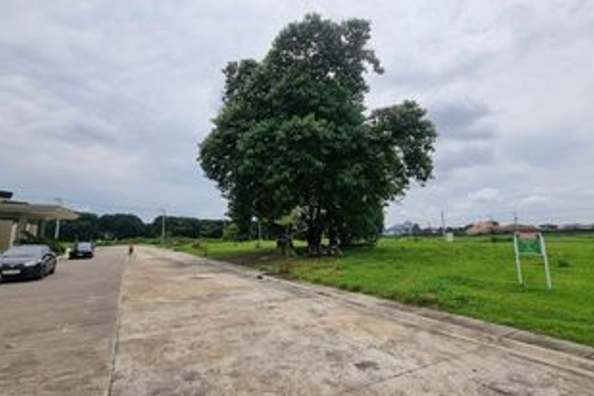Land for Sale in Amsic, Angeles, Pampanga – photo 7