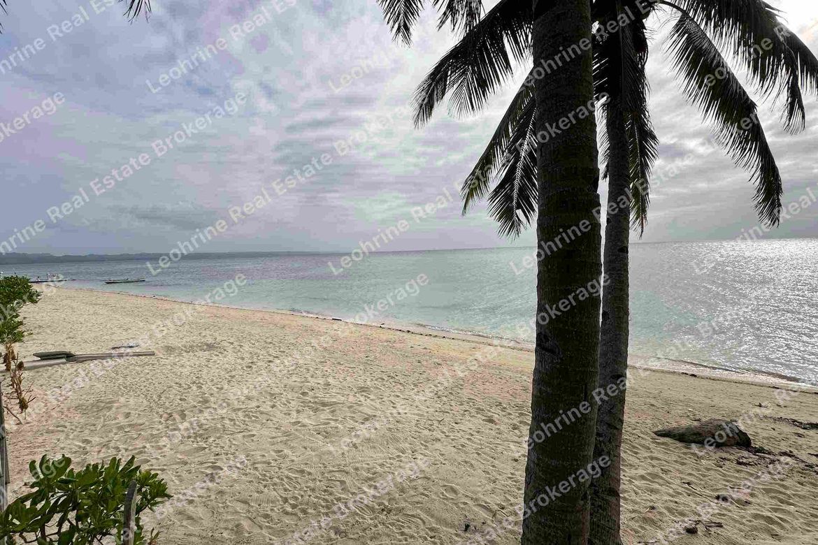 Land for Sale in Anapog, San Remigio, Cebu – photo 2