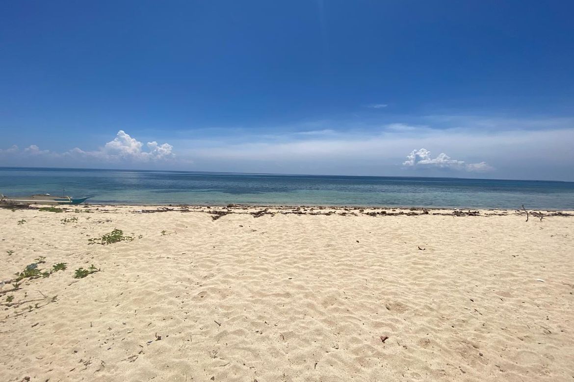 Land for Sale in Anapog, San Remigio, Cebu – photo 2