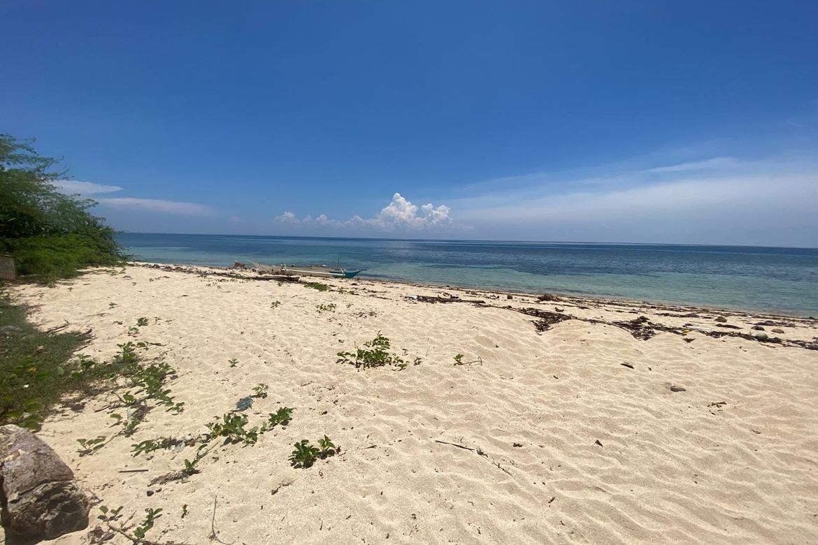 Land for Sale in Anapog, San Remigio, Cebu – photo 4