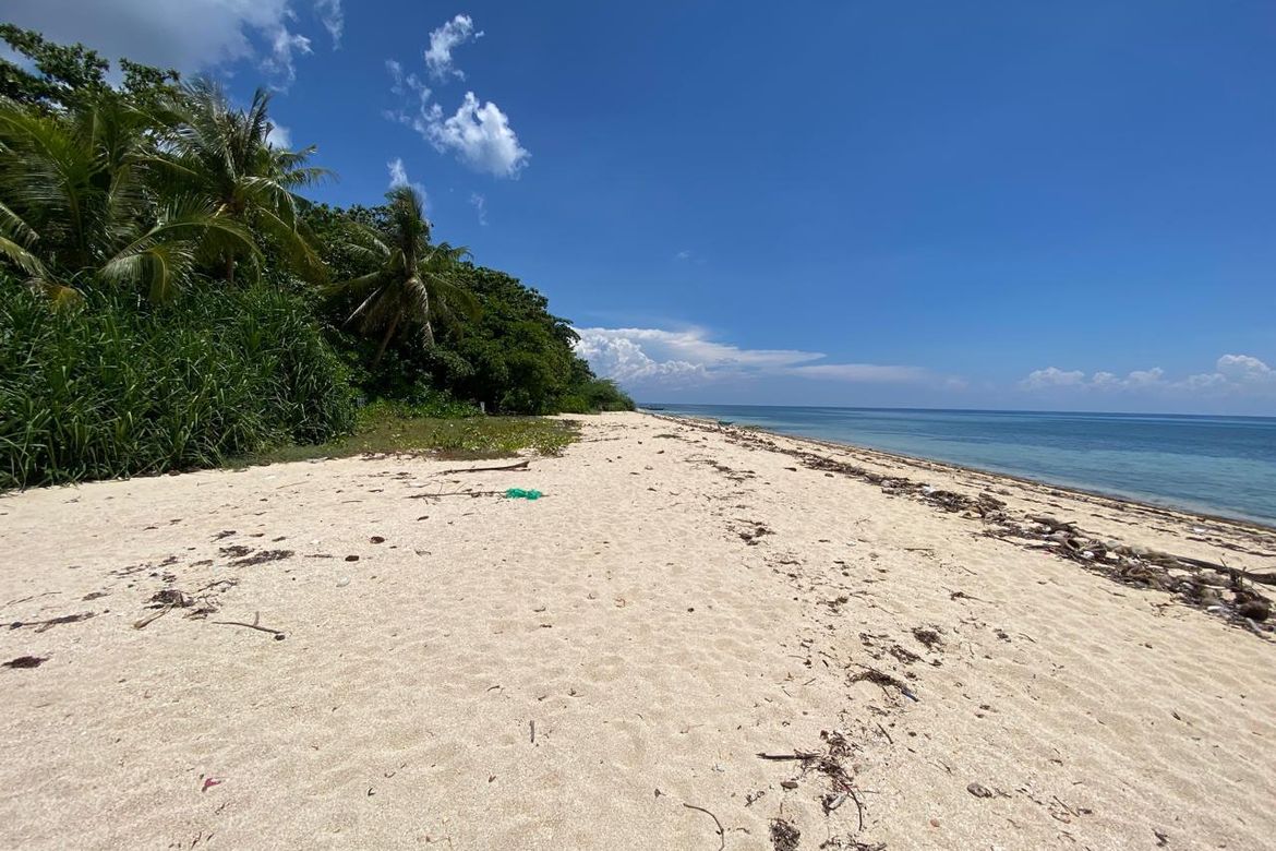 Land for Sale in Anapog, San Remigio, Cebu – photo 6