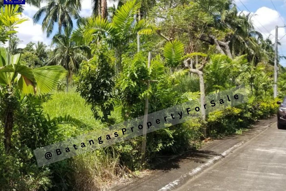 Land for Sale in Anilao, Lipa, Batangas – photo 4