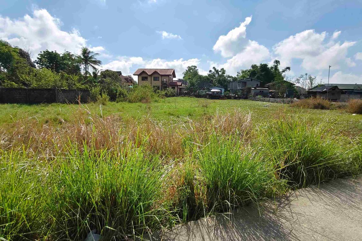 Land for Sale in Anolid, Mangaldan, Pangasinan – photo 2
