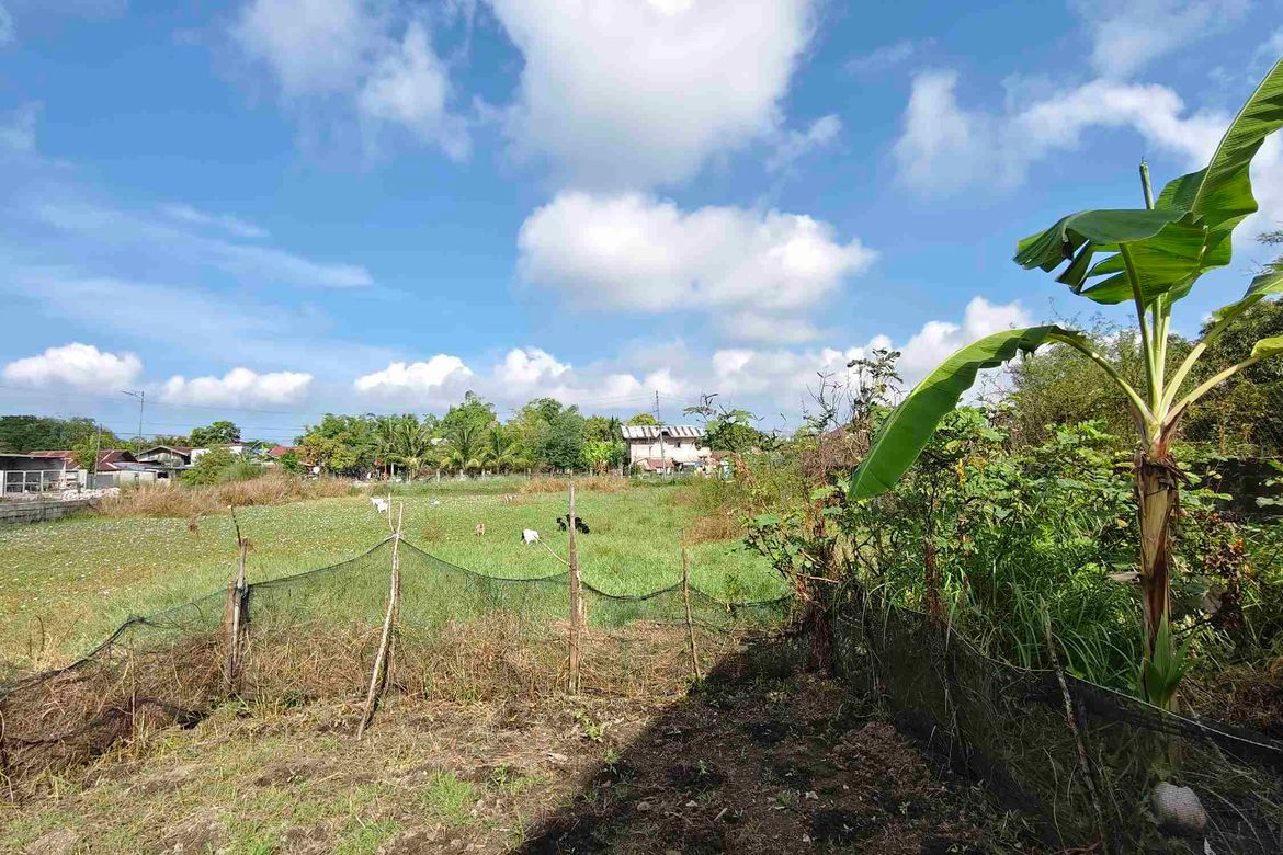 Land for Sale in Anolid, Mangaldan, Pangasinan – photo 3