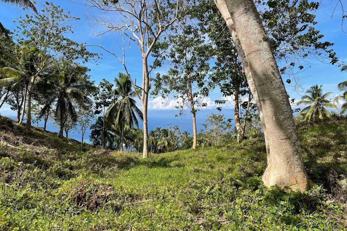 Land for Sale in Anonang, Samal, Davao del Norte – photo 2