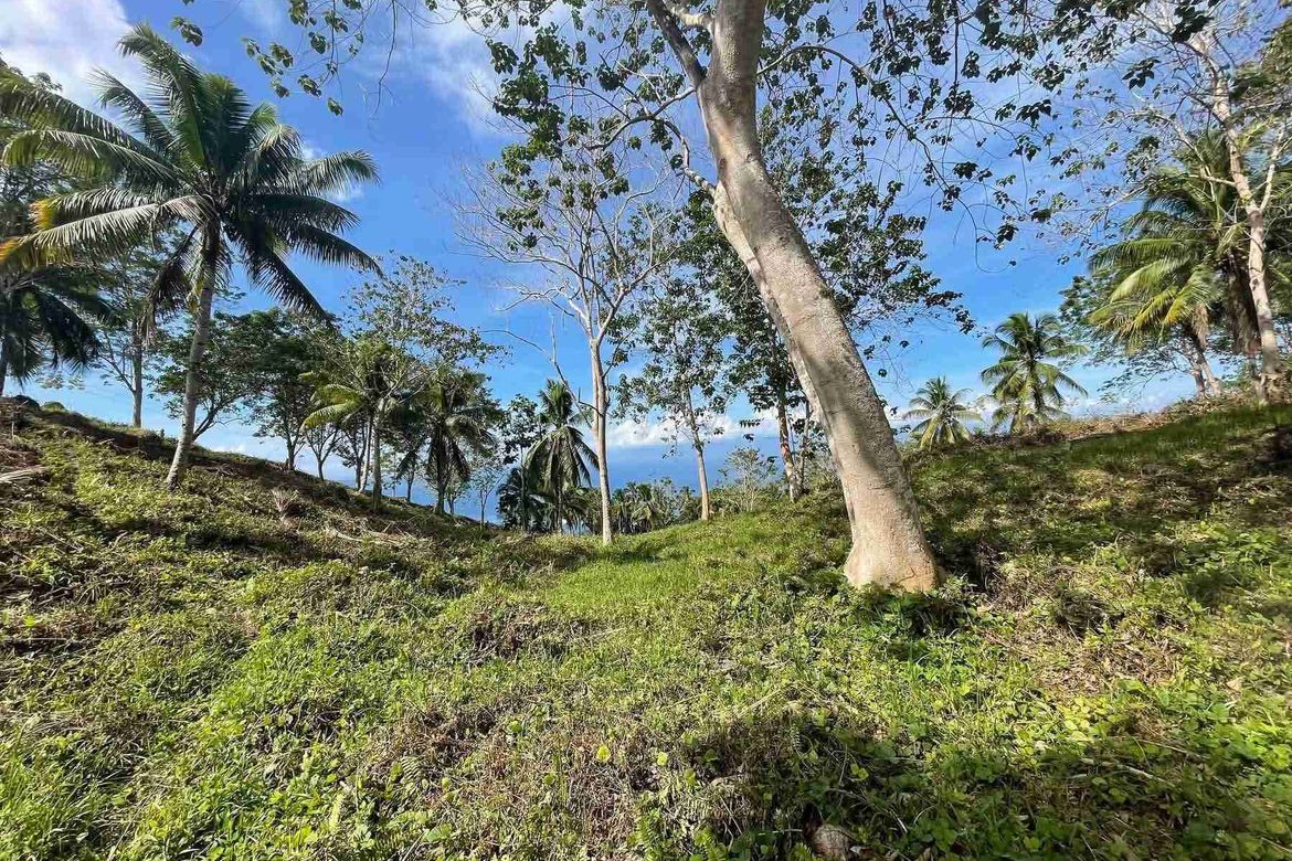 Land for Sale in Anonang, Samal, Davao del Norte – photo 6