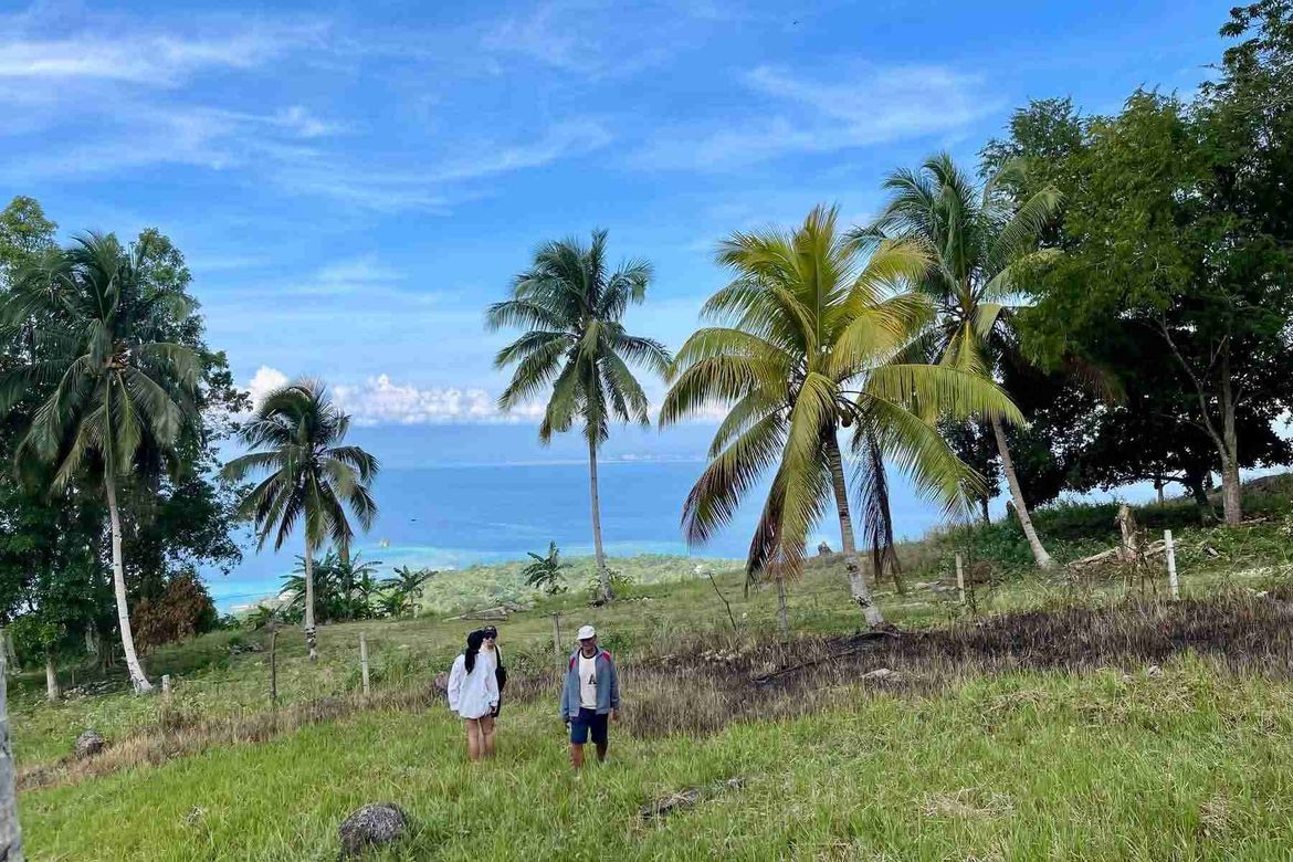 Land for Sale in Anonang, Samal, Davao del Norte – photo 7