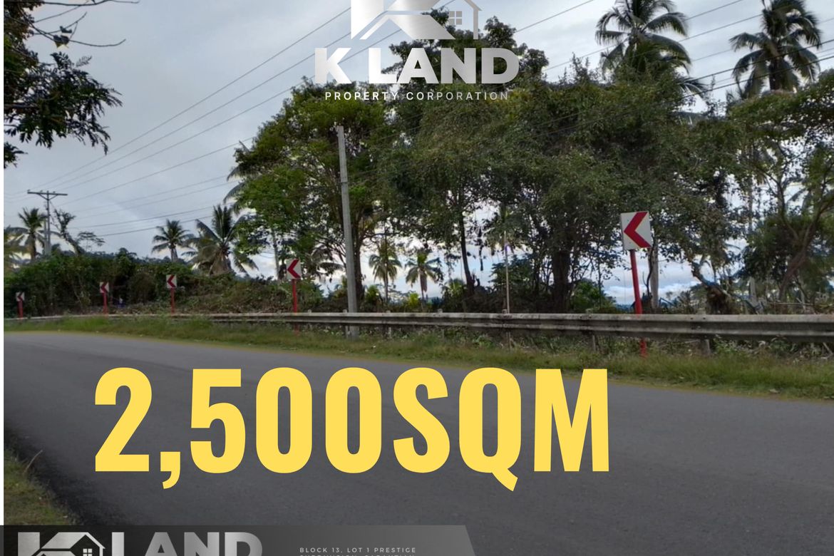 Land for Sale in Anonang, Samal, Davao del Norte