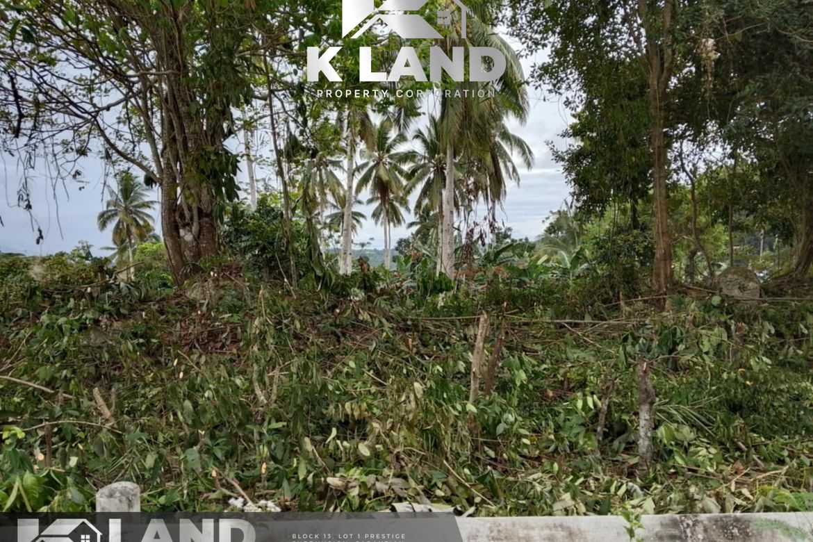 Land for Sale in Anonang, Samal, Davao del Norte – photo 2