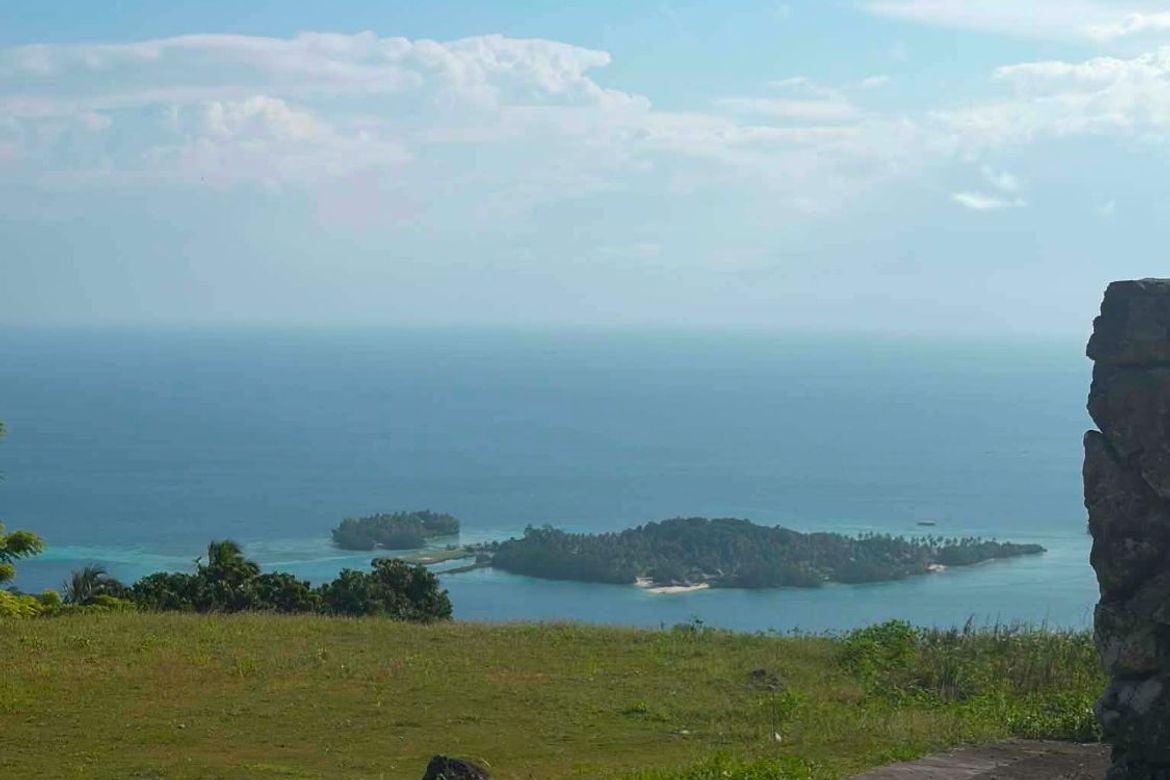 Land for Sale in Anonang, Samal, Davao del Norte – photo 2