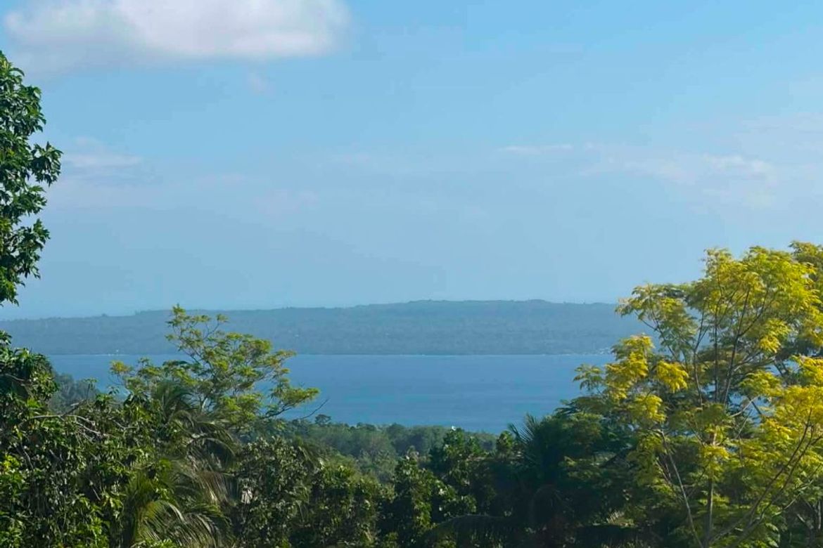 Land for Sale in Anonang, Samal, Davao del Norte – photo 3
