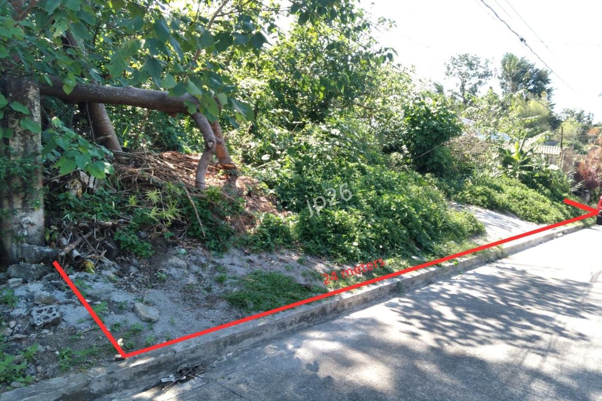 Land for Sale in Anos, Los Baños, Laguna