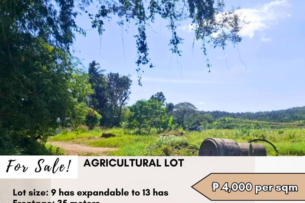 Land for Sale in Antipolo del Sur, Lipa, Batangas