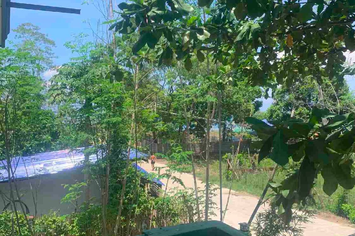 Land for Sale in Antipuluan, Narra, Palawan – photo 3