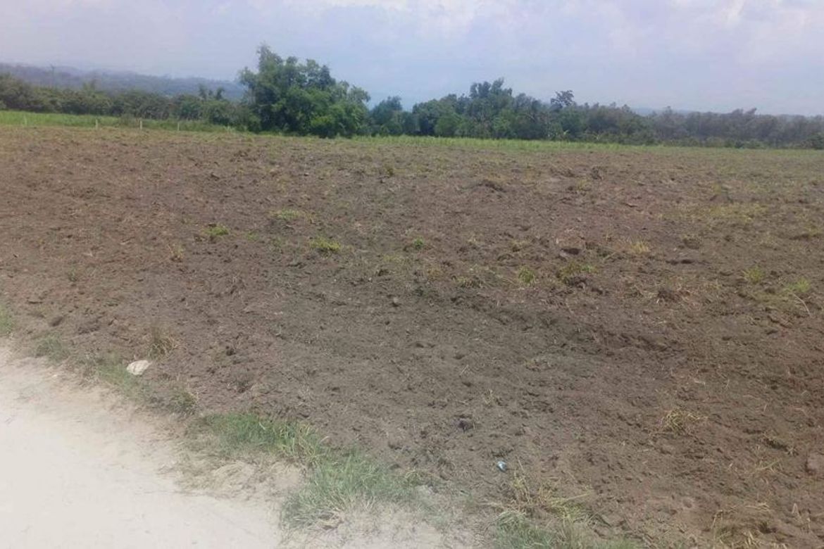 Land for Sale in Anupul, Bamban, Tarlac – photo 2