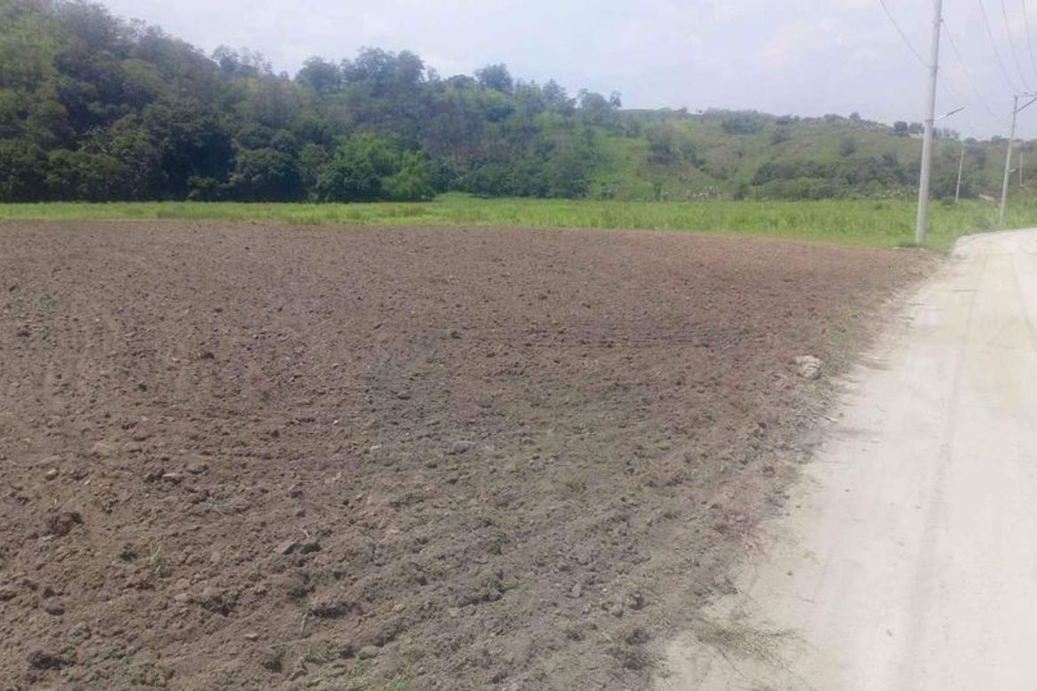 Land for Sale in Anupul, Bamban, Tarlac – photo 4
