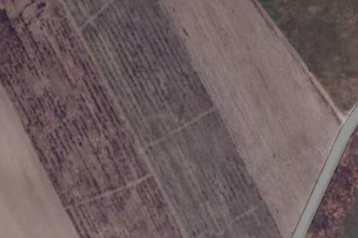 Land for Sale in Anupul, Bamban, Tarlac – photo 8