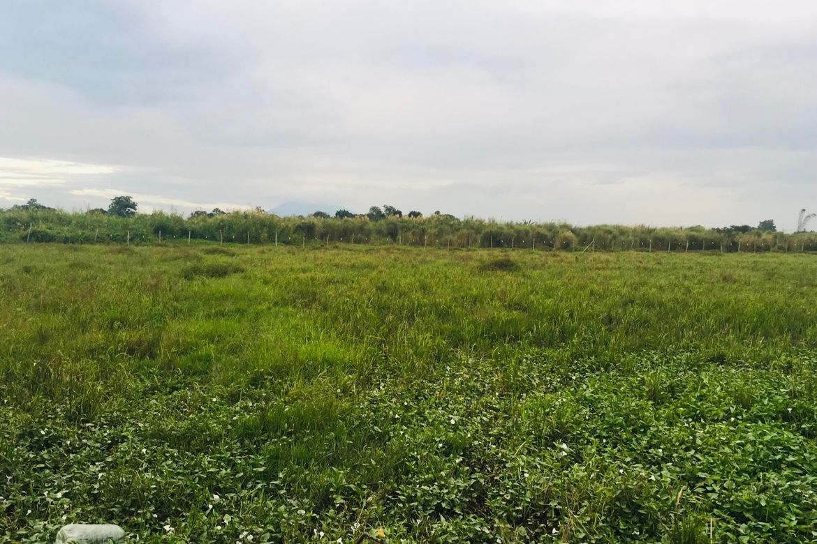 Land for Sale in Anupul, Bamban, Tarlac – photo 2