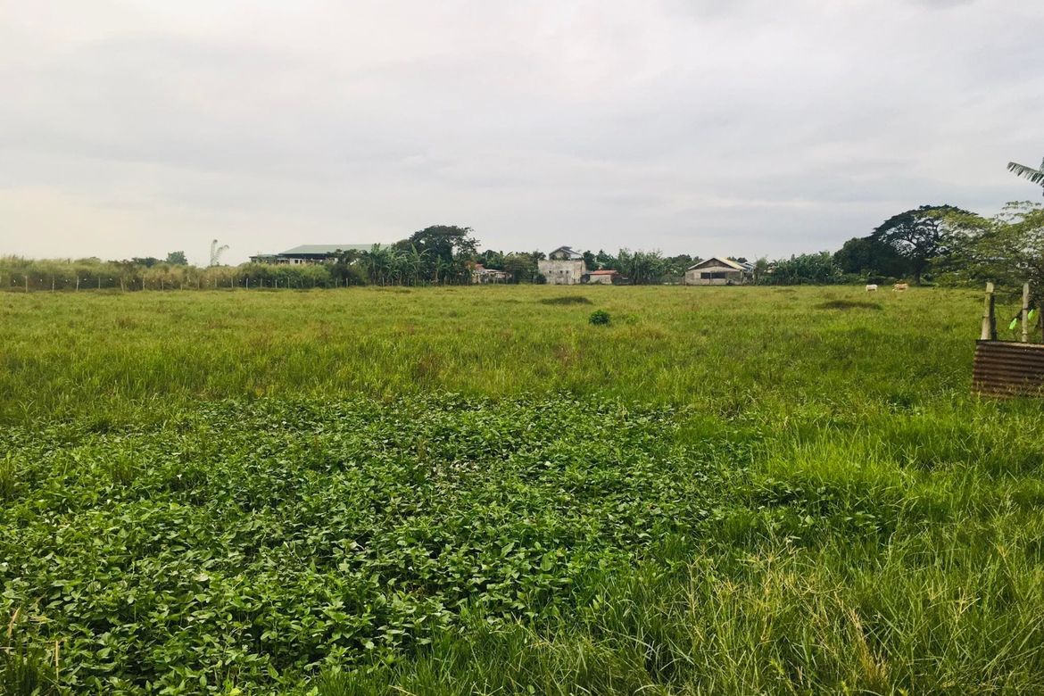 Land for Sale in Anupul, Bamban, Tarlac – photo 3