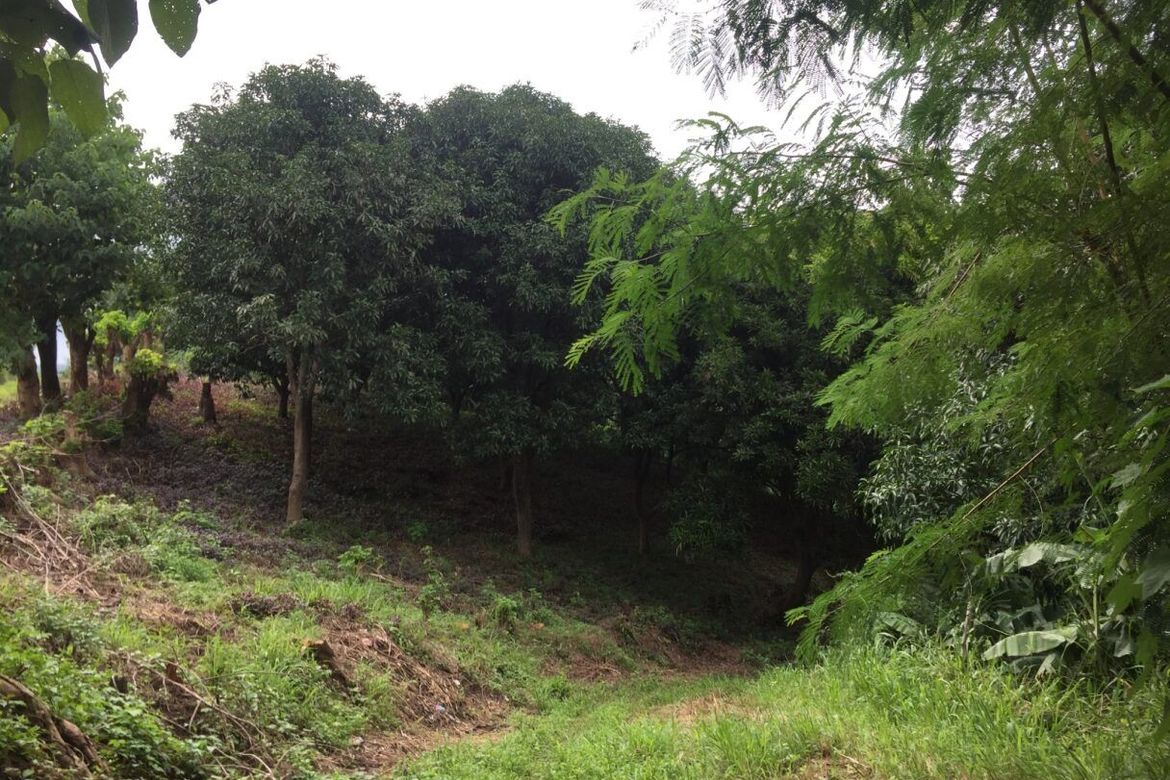 Land for Sale in Anupul, Bamban, Tarlac – photo 4
