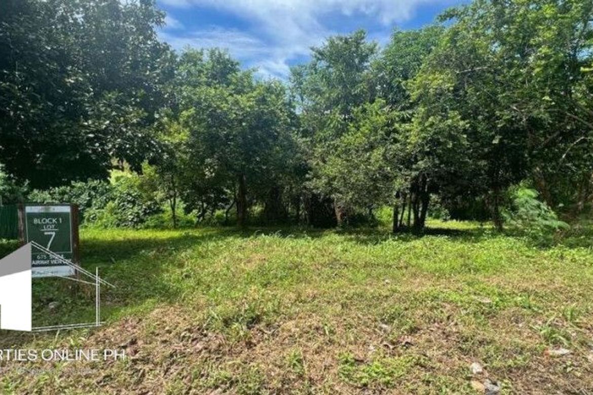 Land for Sale in Anvaya Cove, Mabatang, Abucay, Bataan – photo 4