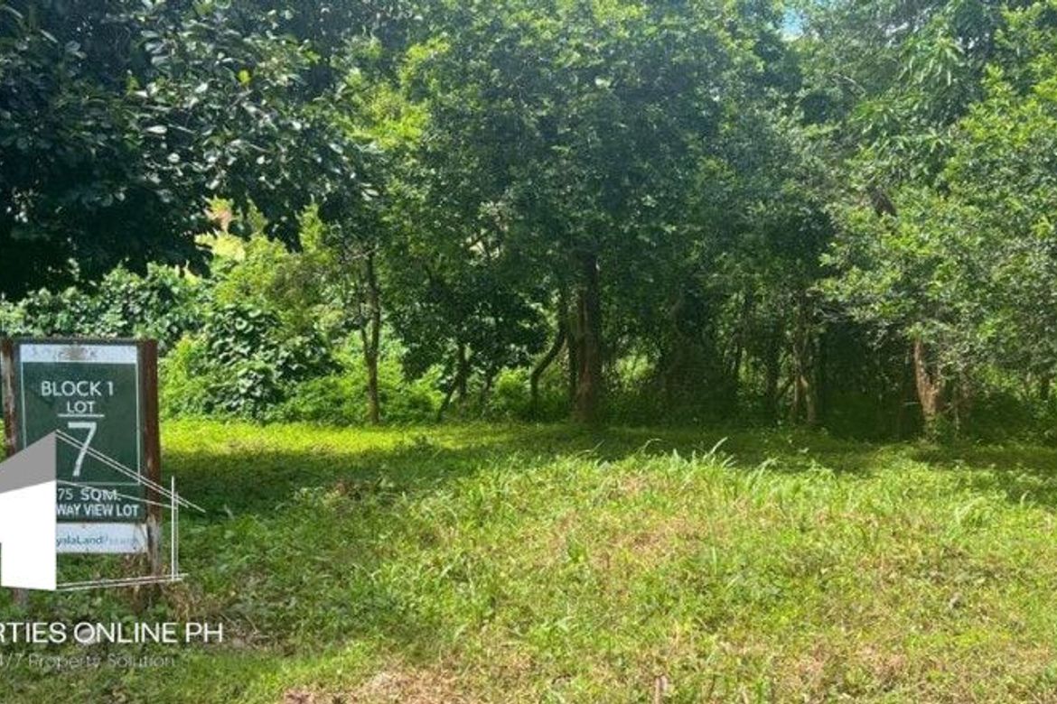 Land for Sale in Anvaya Cove, Mabatang, Abucay, Bataan – photo 5