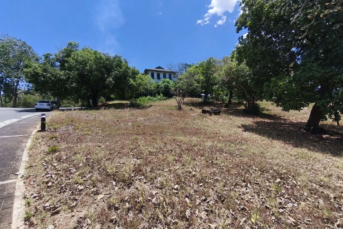 Land for Sale in Anvaya Cove, Mabatang, Abucay, Bataan – photo 2