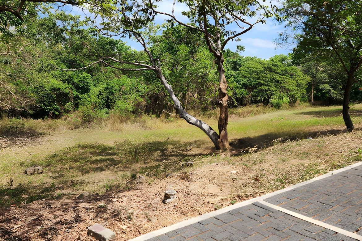 Land for Sale in Anvaya Cove, Mabatang, Abucay, Bataan – photo 2