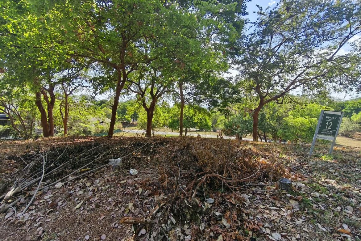 Land for Sale in Anvaya Cove, Mabatang, Abucay, Bataan – photo 3