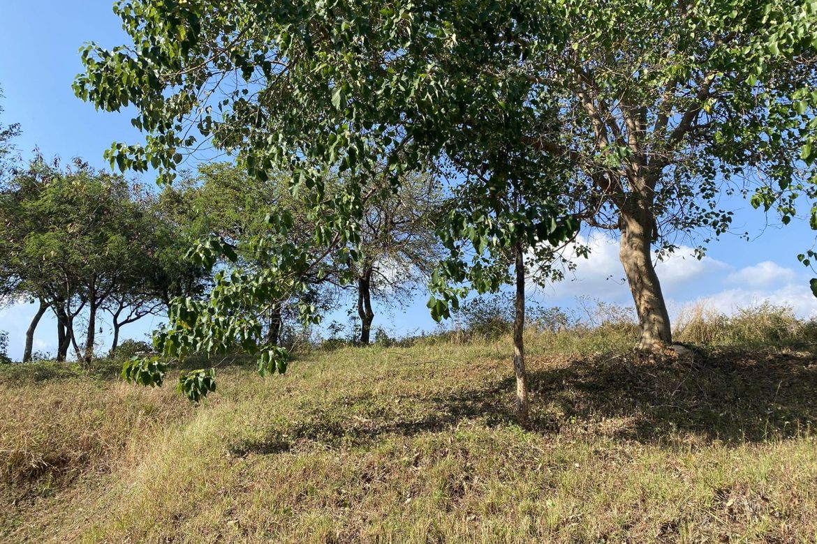 Land for Sale in Anvaya Cove, Mabatang, Abucay, Bataan – photo 5