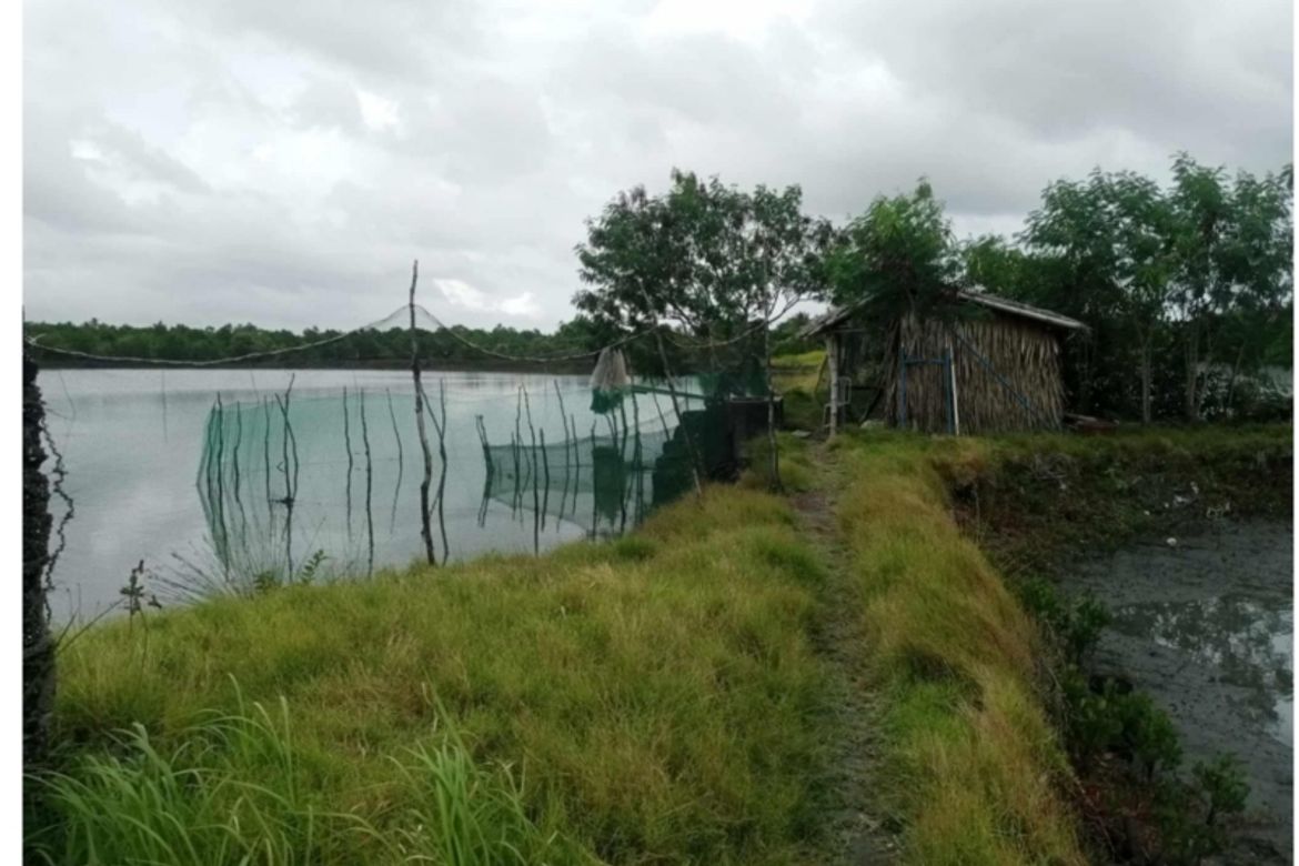 Land for Sale in Apitong, Naujan, Oriental Mindoro – photo 5