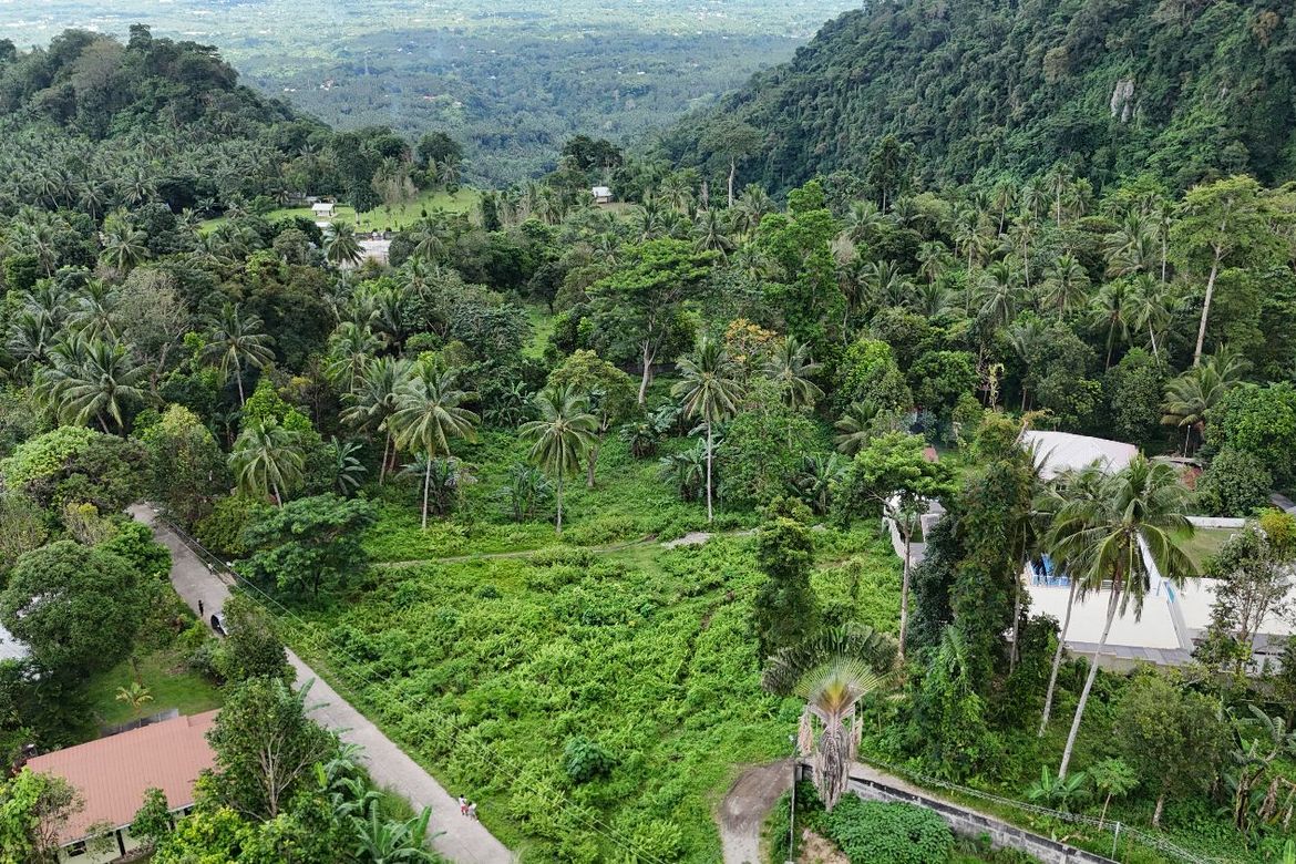 Land for Sale in Apolong, Valencia, Negros Oriental