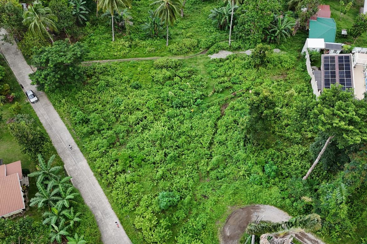 Land for Sale in Apolong, Valencia, Negros Oriental – photo 2