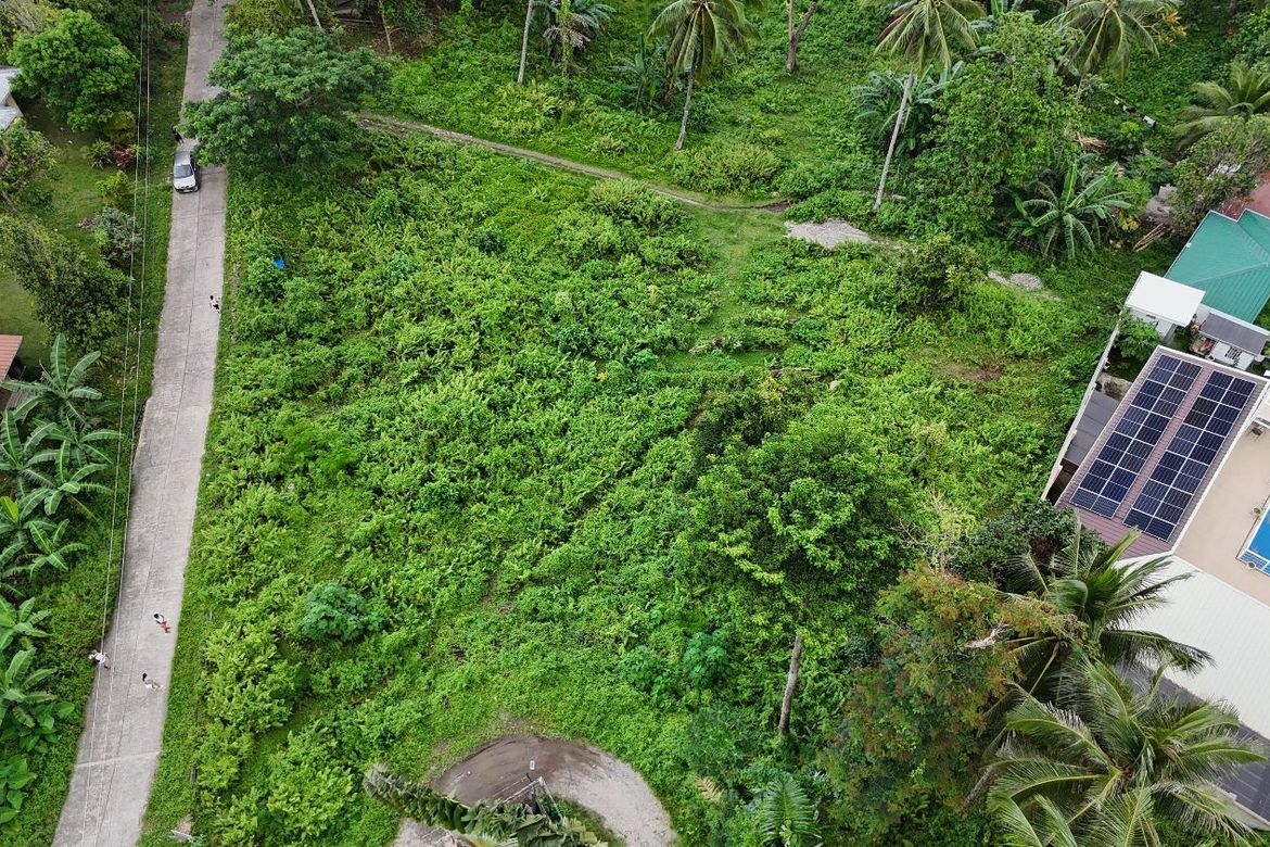Land for Sale in Apolong, Valencia, Negros Oriental – photo 3