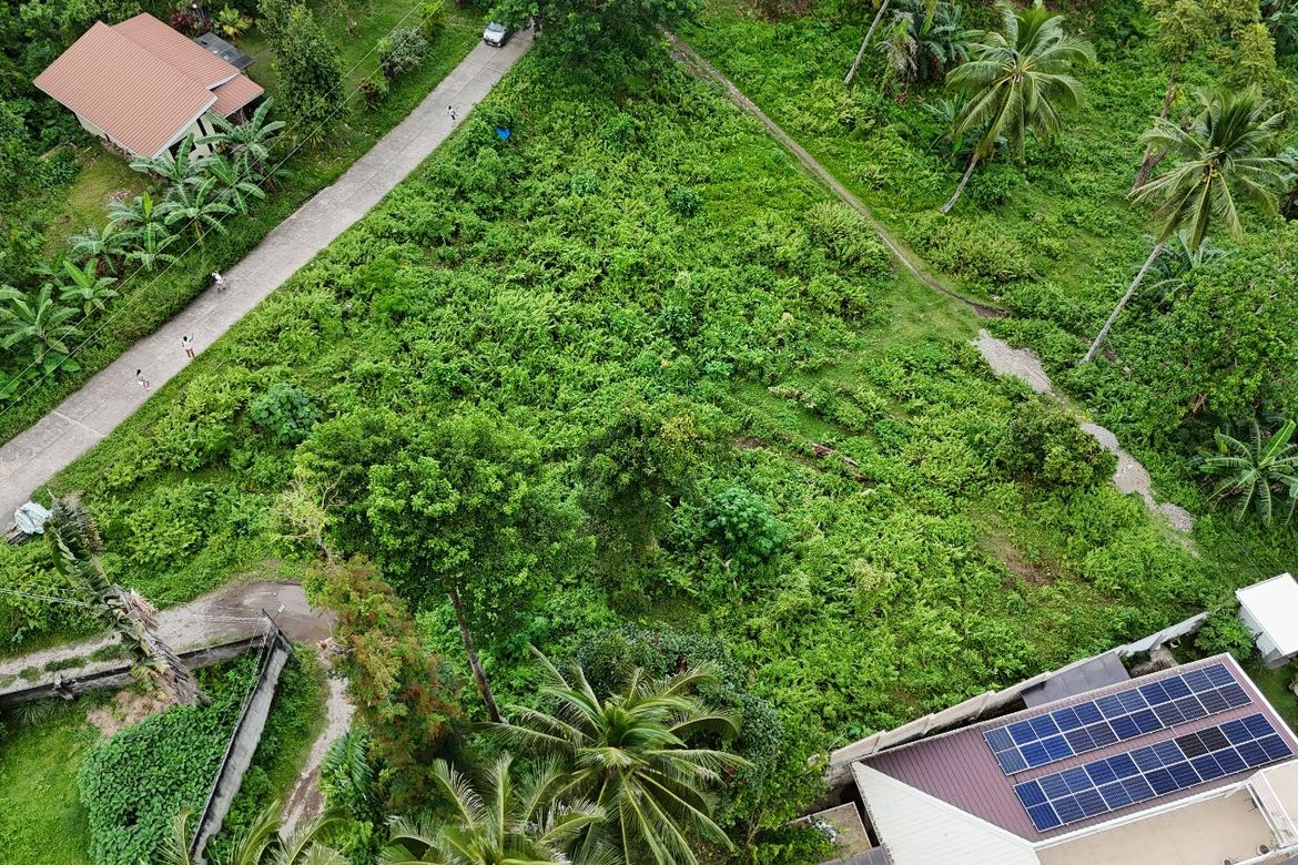 Land for Sale in Apolong, Valencia, Negros Oriental – photo 4