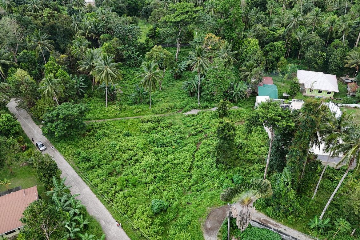 Land for Sale in Apolong, Valencia, Negros Oriental – photo 5
