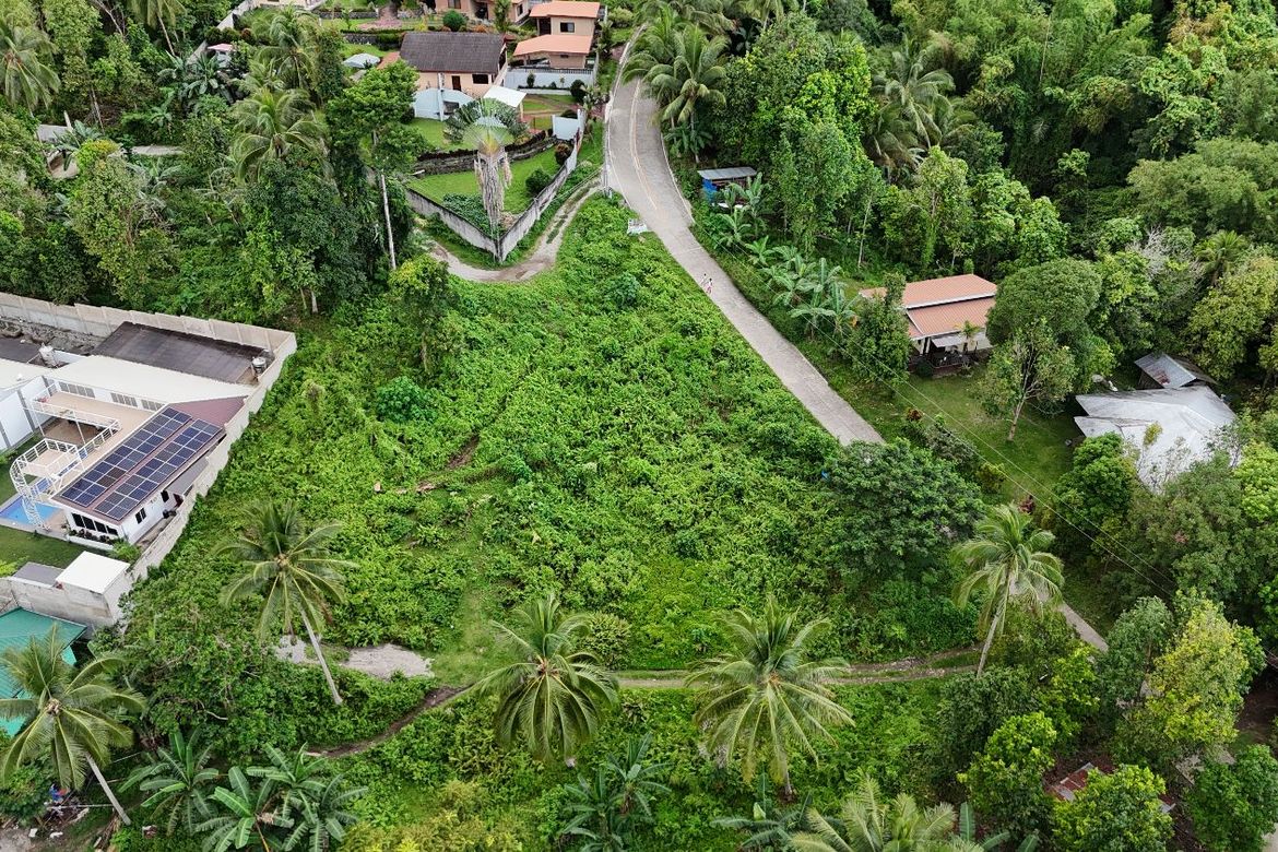 Land for Sale in Apolong, Valencia, Negros Oriental – photo 6