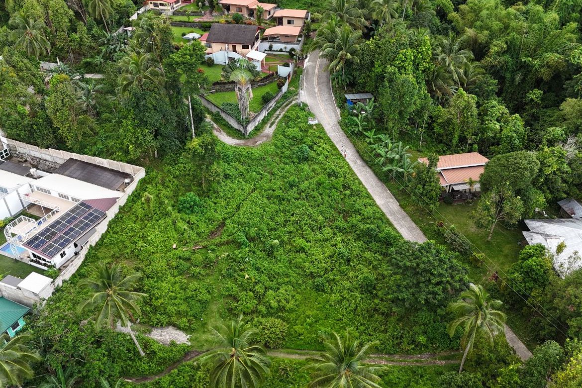 Land for Sale in Apolong, Valencia, Negros Oriental – photo 7