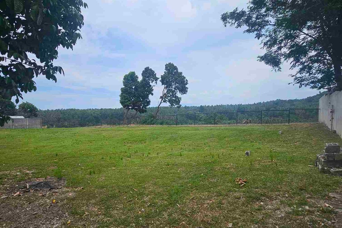Land for Sale in Apolong, Valencia, Negros Oriental
