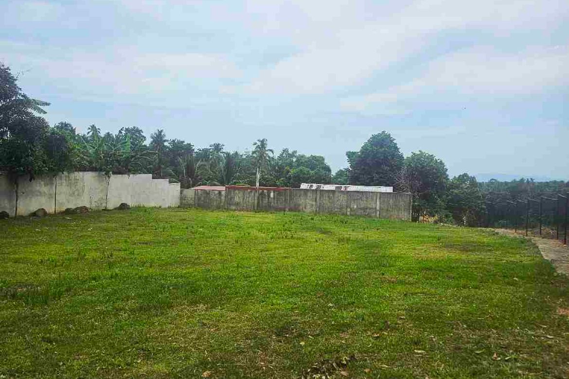 Land for Sale in Apolong, Valencia, Negros Oriental – photo 2