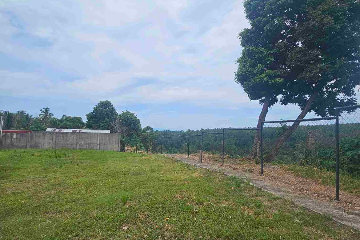 Land for Sale in Apolong, Valencia, Negros Oriental – photo 4