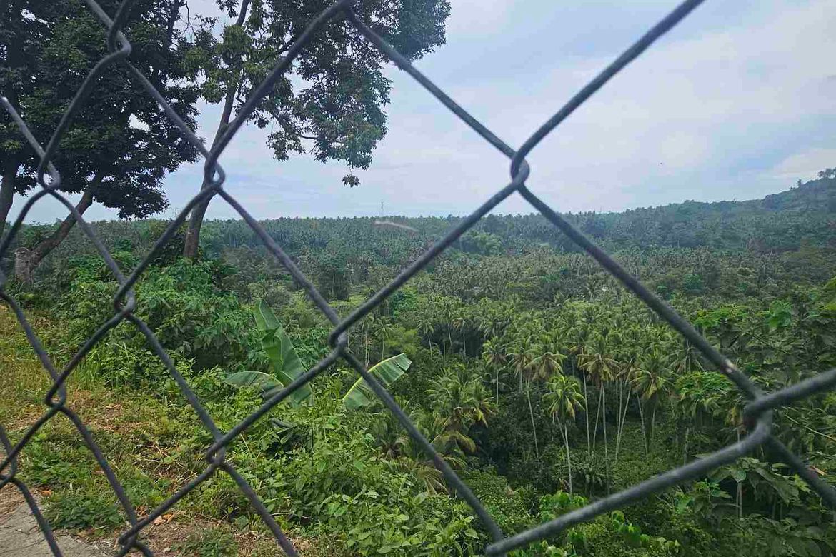 Land for Sale in Apolong, Valencia, Negros Oriental – photo 5