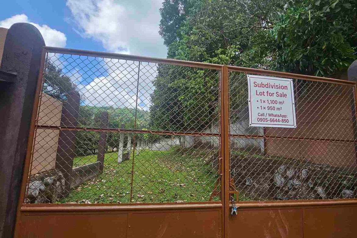 Land for Sale in Apolong, Valencia, Negros Oriental – photo 2